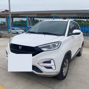 Buy electric cars used in China CSMHZN3007-02-carsmartotal.com